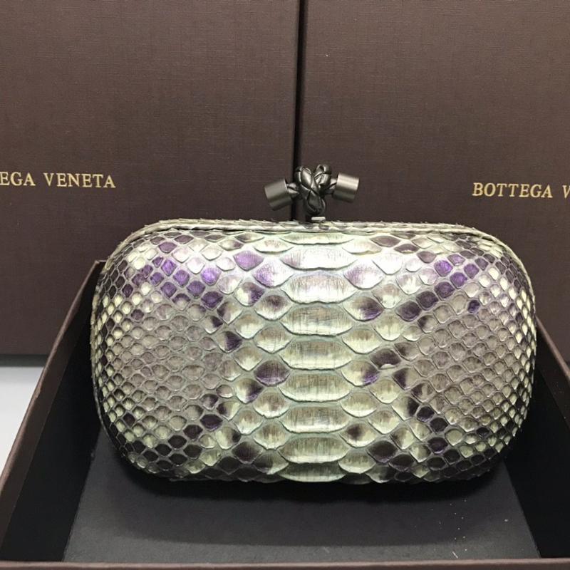 Bottega Veneta Clutches Bags B9602 Snake Skin Three
